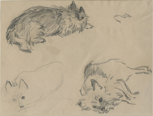 Аронов Лев Ильич. Три эскиза с собакой Майк на одном листе